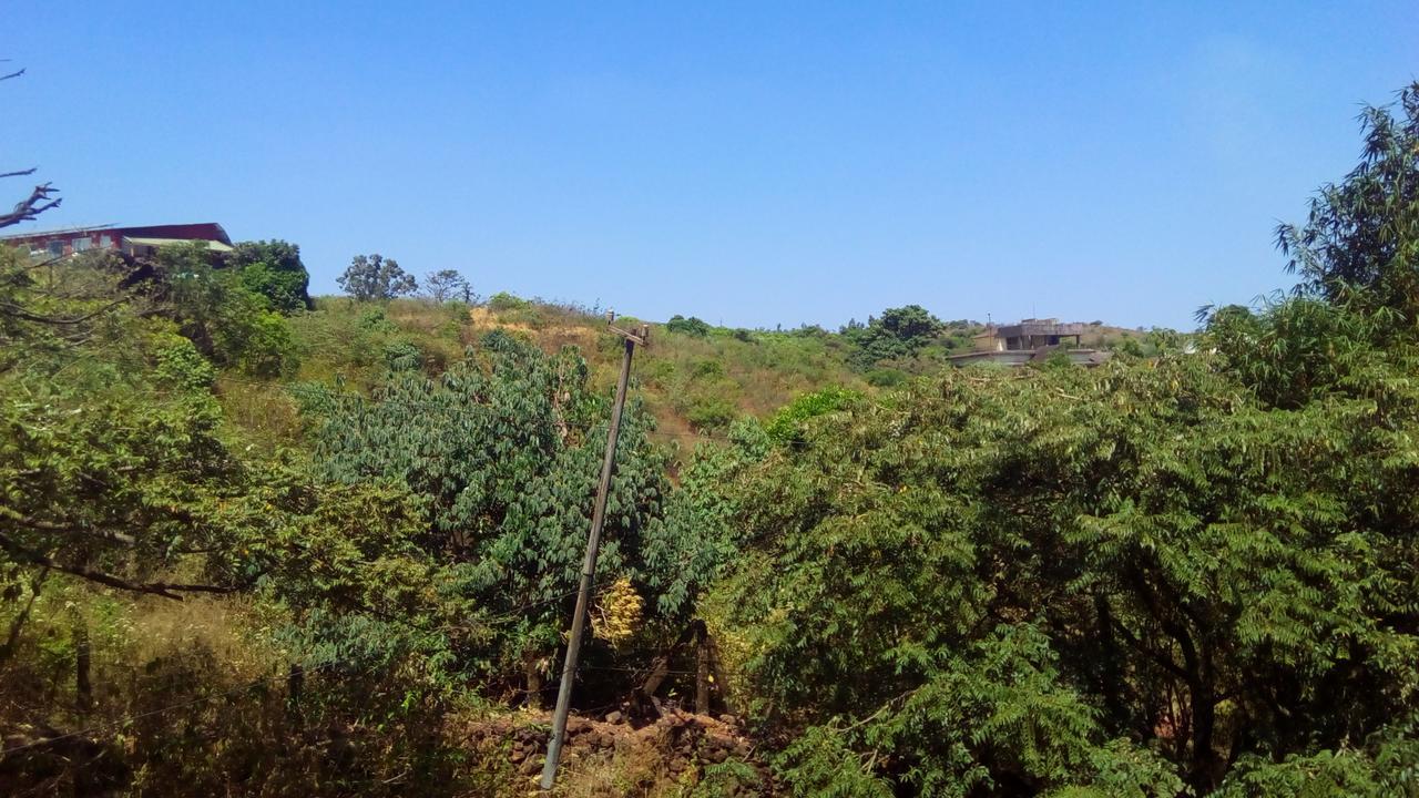 Mahābaleshwar Hotel Tree Top מראה חיצוני תמונה
