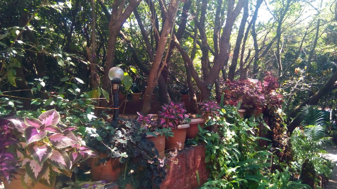 Mahābaleshwar Hotel Tree Top מראה חיצוני תמונה