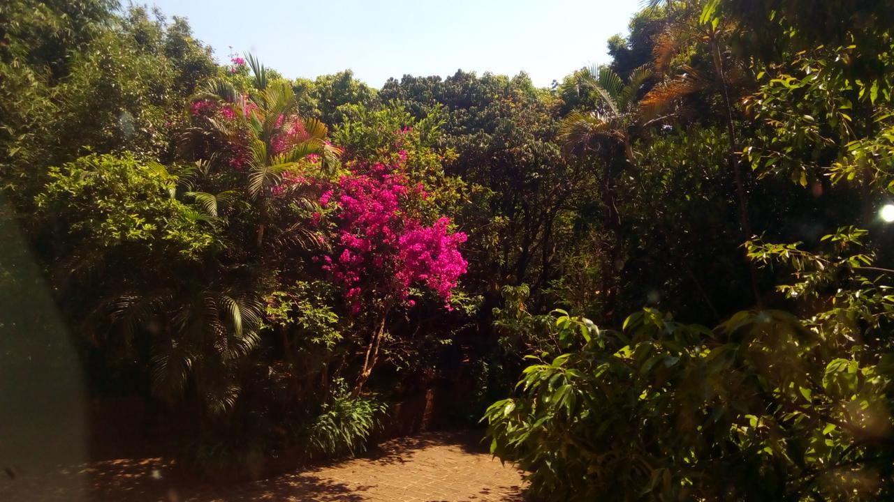 Mahābaleshwar Hotel Tree Top מראה חיצוני תמונה