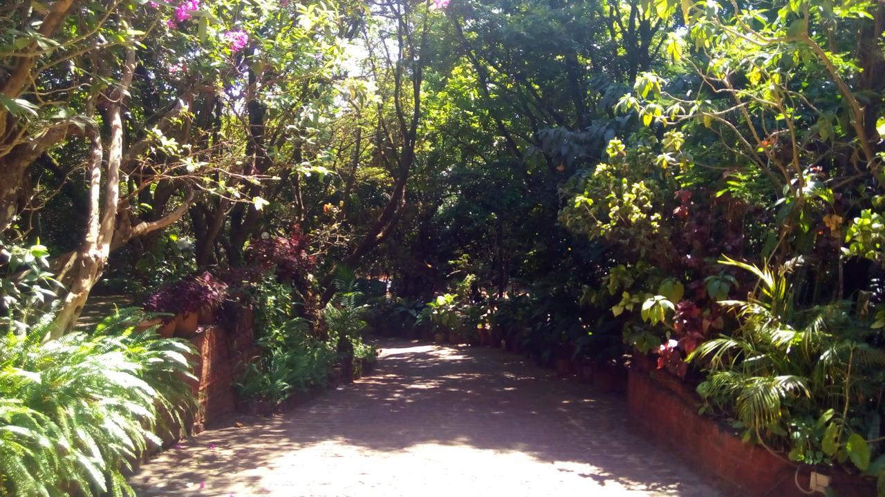 Mahābaleshwar Hotel Tree Top מראה חיצוני תמונה