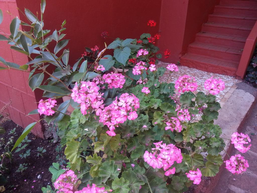 Mahābaleshwar Hotel Tree Top מראה חיצוני תמונה